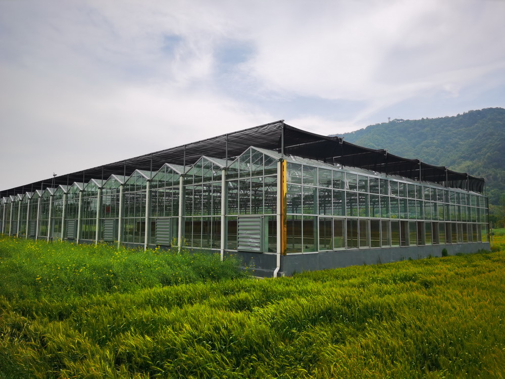 寧波市農科院與寧波云笈科技有限公司聯合成立首個數字化育苗工廠.jpg 寧波市農科院與寧波云笈科技有限公司聯合成立首個數字化育苗工廠.jpg