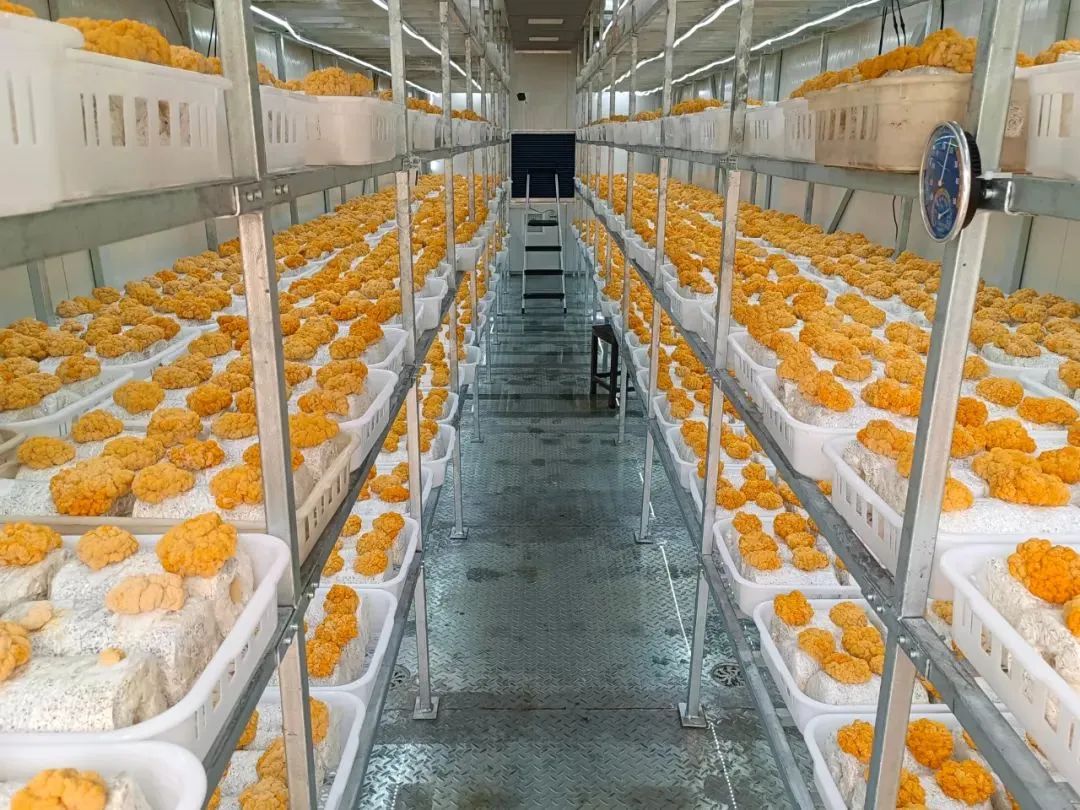 微信圖片_20230213161150.jpg 微信圖片_20230213161150.jpg