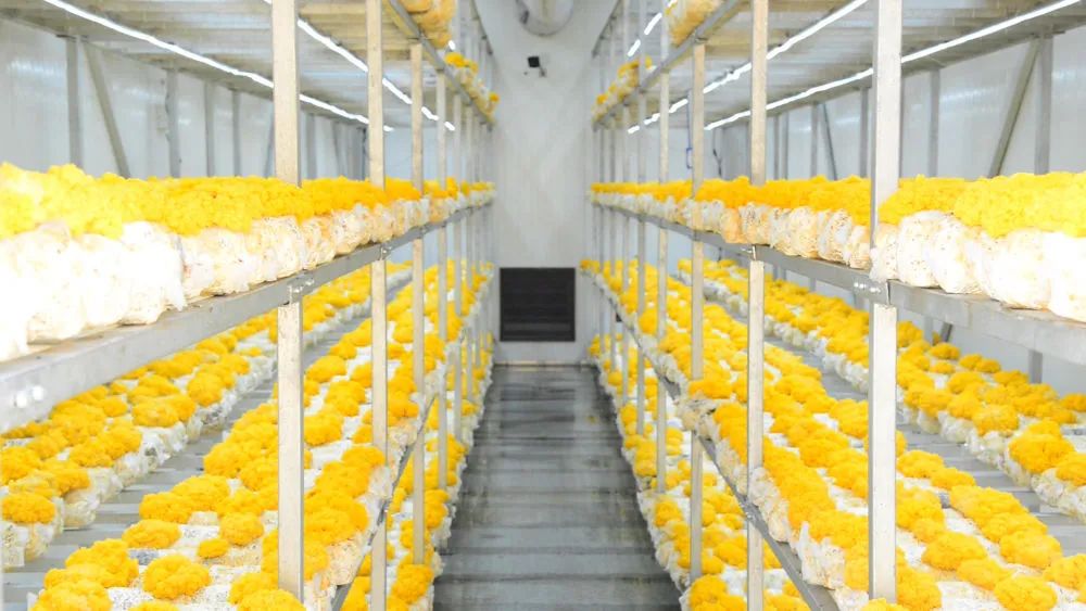 640 (2).jpg 640 (2).jpg