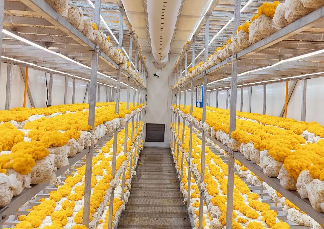 微信圖片_20240521162256.jpg 微信圖片_20240521162256.jpg