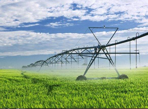 大力提升農業產業化水平加快農業強省建設