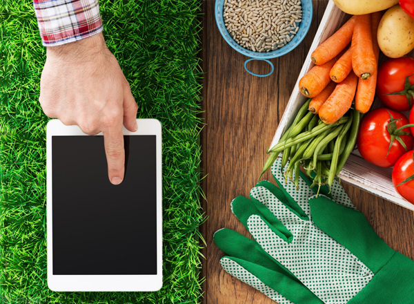 2022年，智慧農業的熱度會降低嗎？