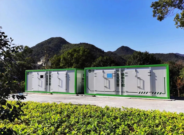 小山村飛進“金鳳凰”