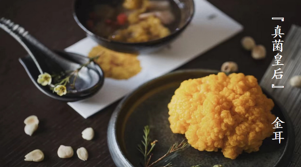 云笈生態(tài)∣“真菌皇后”金耳的營養(yǎng)價值與各種吃法科普